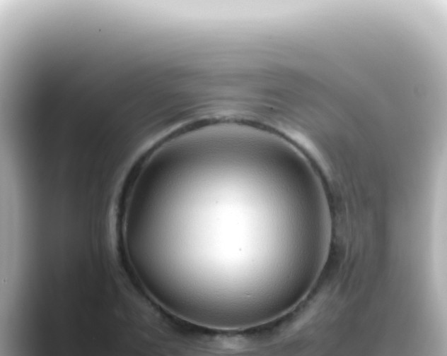 X0000089460983200706221302