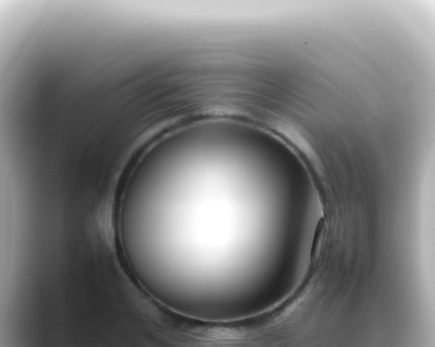 X0000089460984200706221302
