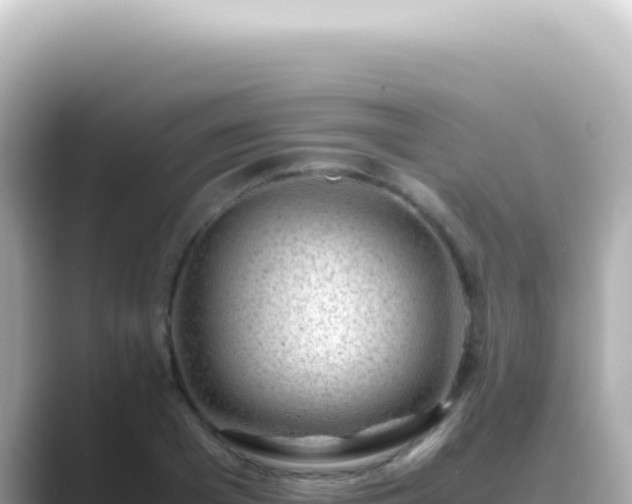 X0000089460985200706221302