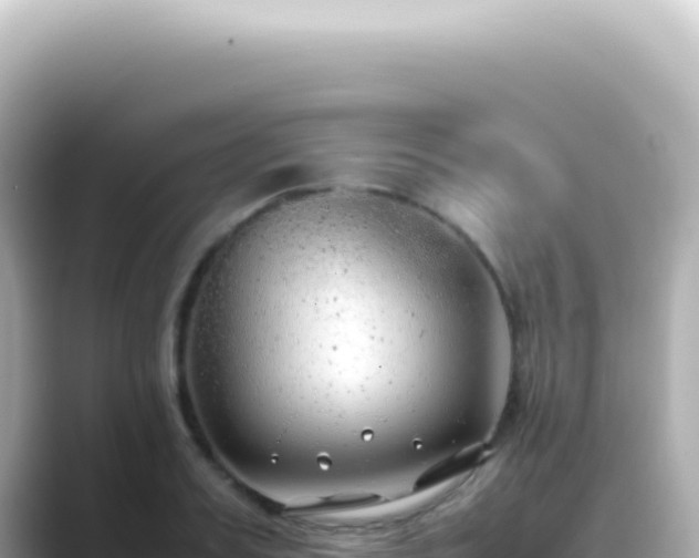 X0000089460987200706221302