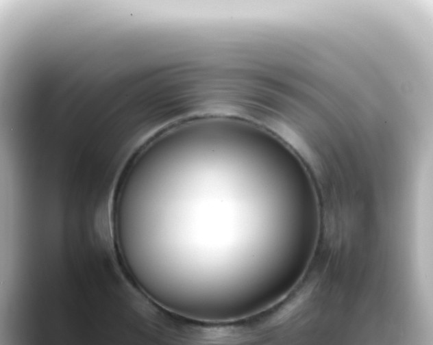 X0000089460988200706221302