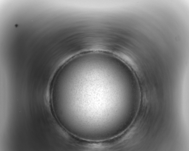 X0000089460990200706221302