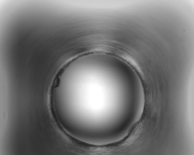 X0000089460991200706221302