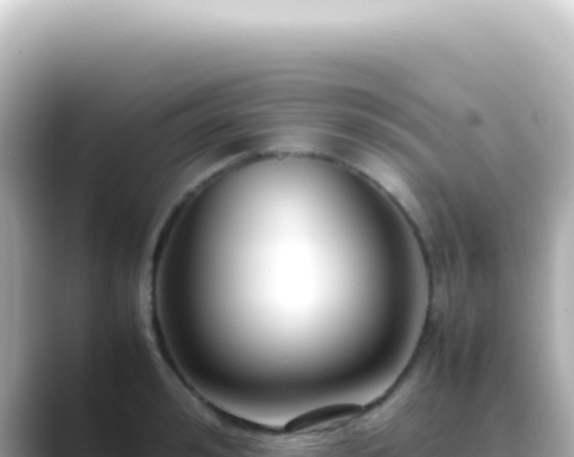 X0000089460992200706221302