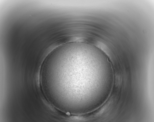 X0000089460994200706221302