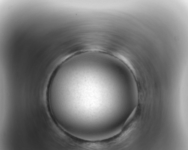 X0000089460995200706221302