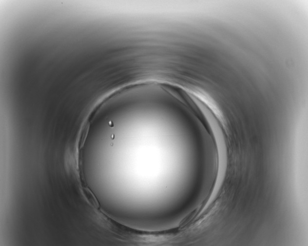 X0000089460996200706221302