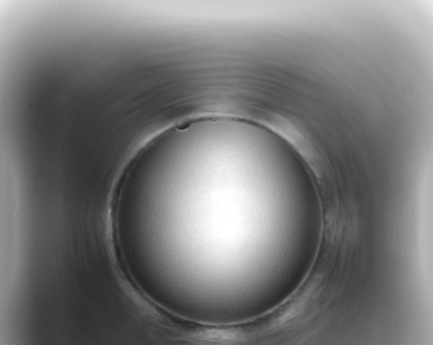X0000089460998200706221302