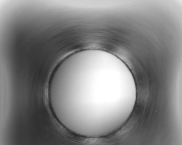X0000089461000200706221302
