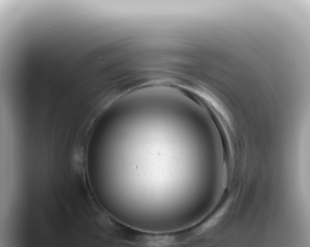 X0000089461001200706221302