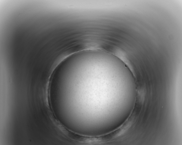 X0000089461002200706221302