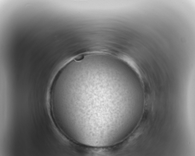 X0000089461003200706221302