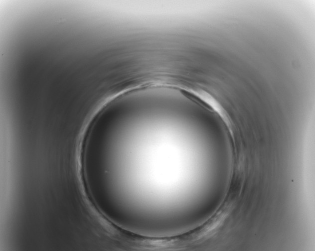 X0000089461005200706221302