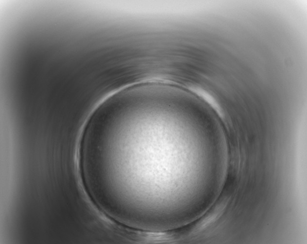 X0000089461007200706221302