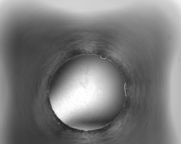X0000089461009200706221301