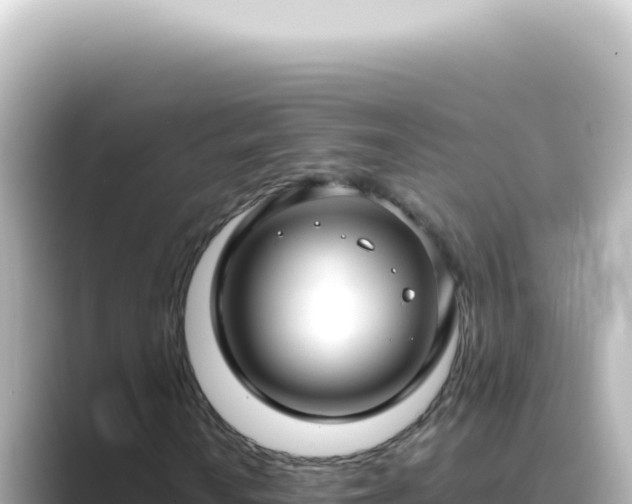 X0000089461010200706221301