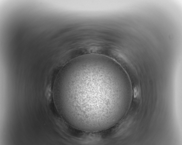 X0000089461011200706221301
