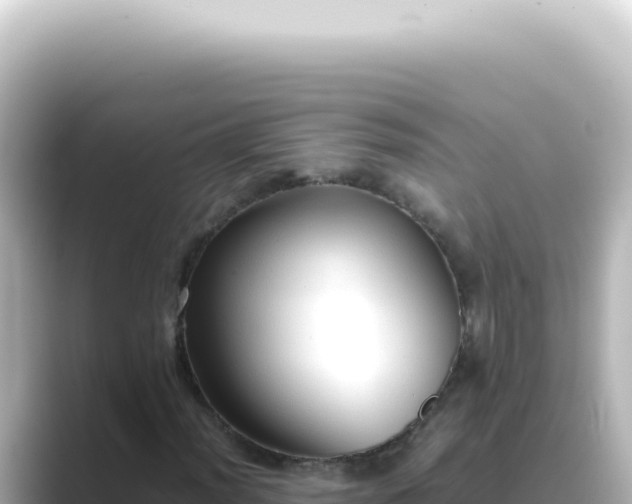 X0000089461012200706221301