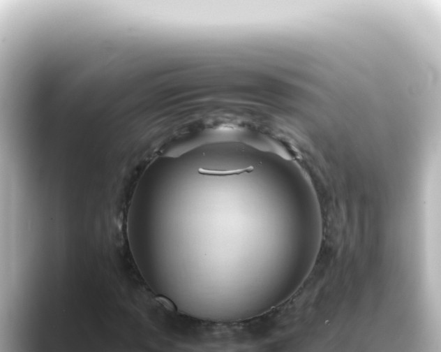 X0000089461013200706221301