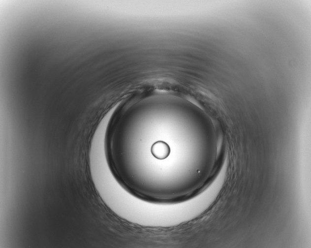 X0000089461014200706221301