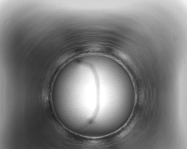 X0000089461017200706221301