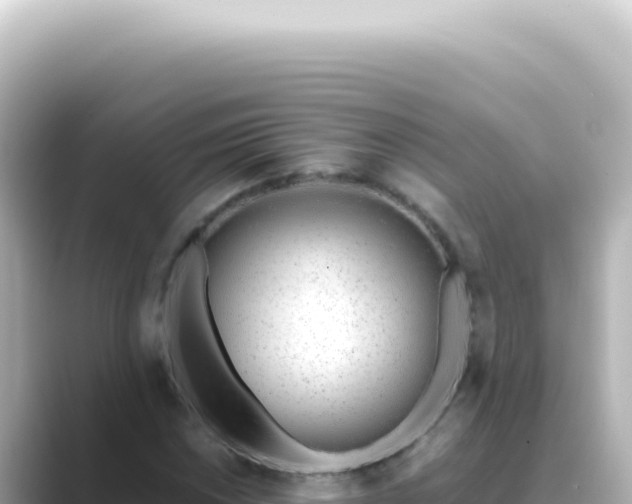 X0000089461018200706221301