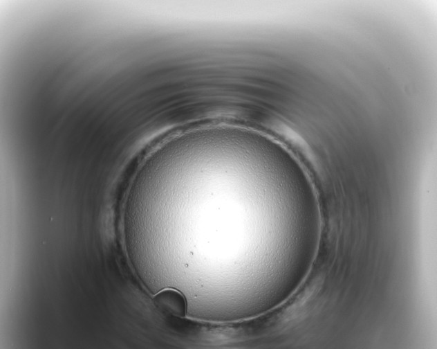 X0000089461019200706221301