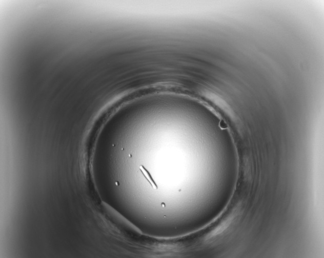 X0000089461021200706221301