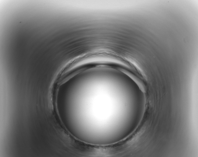 X0000089461022200706221301