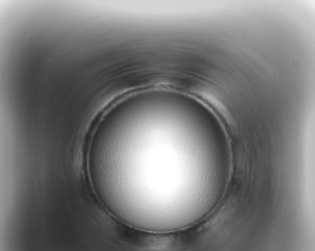X0000089461023200706221301
