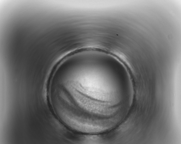 X0000089461024200706221301