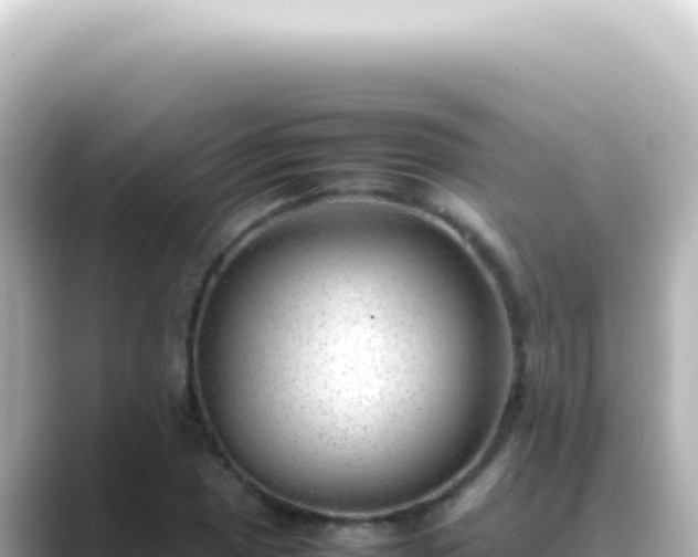 X0000089461025200706221301