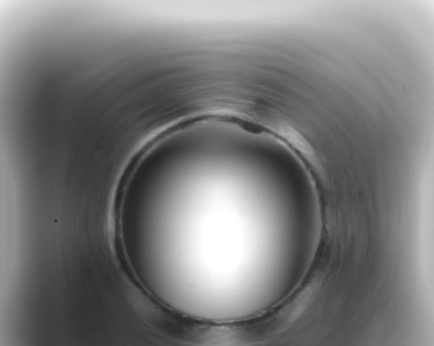 X0000089461028200706221301