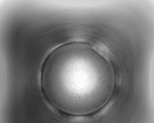 X0000089461030200706221301