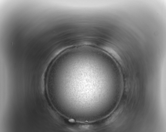 X0000089461031200706221301