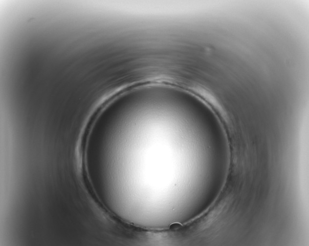 X0000089461032200706221301