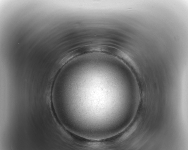 X0000089461033200706221301
