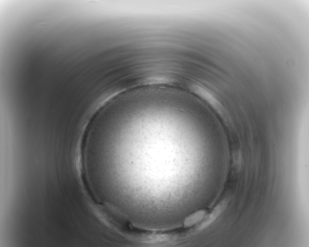 X0000089461034200706221301