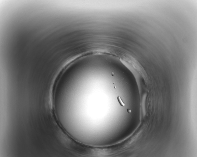 X0000089461036200706221301