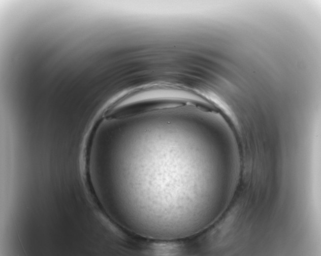X0000089461037200706221301