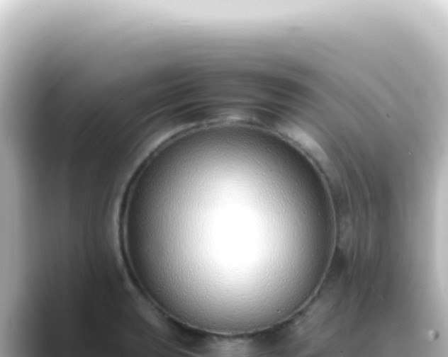 X0000089461039200706221301