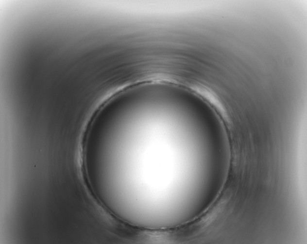 X0000089461040200706221301