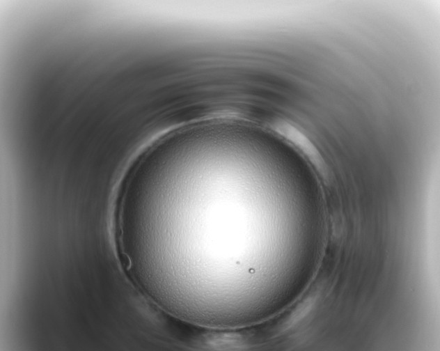 X0000089461043200706221301