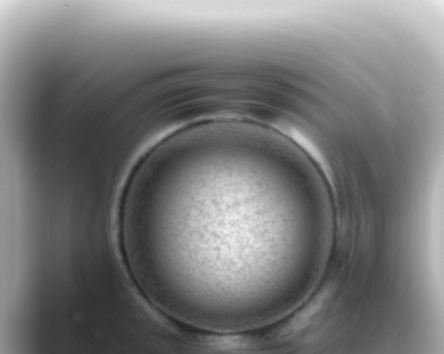 X0000089461045200706221301