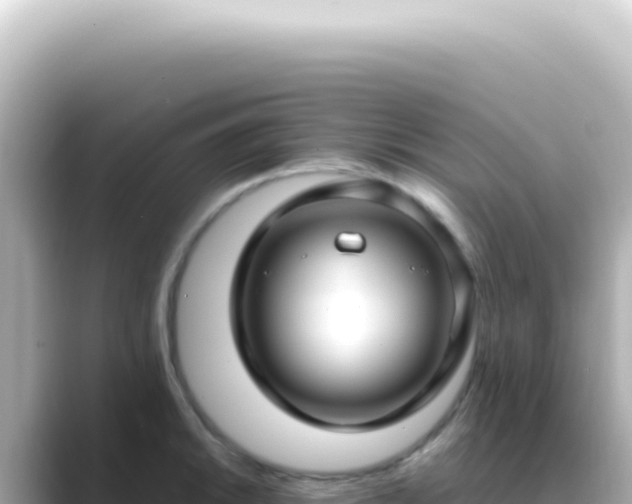 X0000089461046200706221301