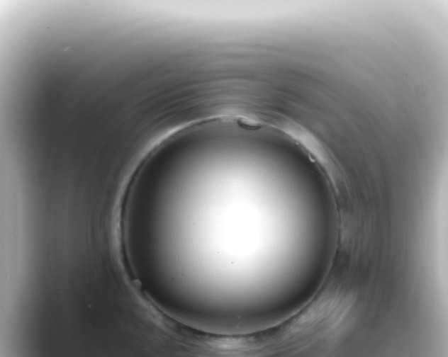 X0000089461048200706221301