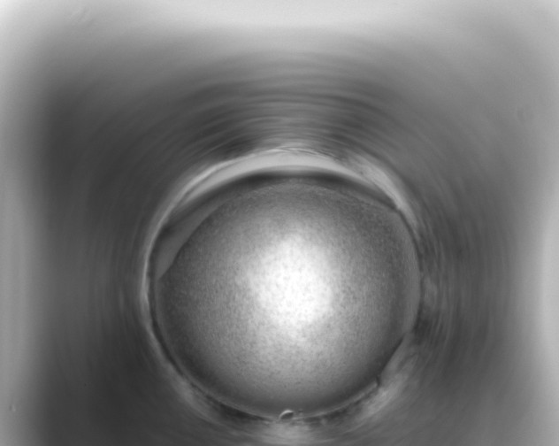 X0000089461050200706221302