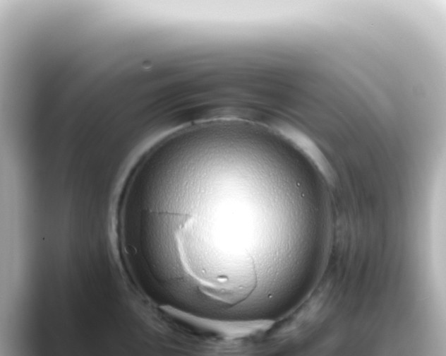 X0000089461051200706221302