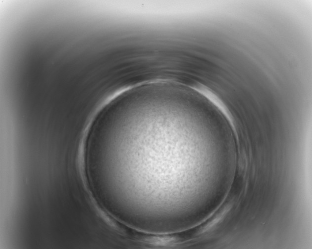 X0000089461053200706221302
