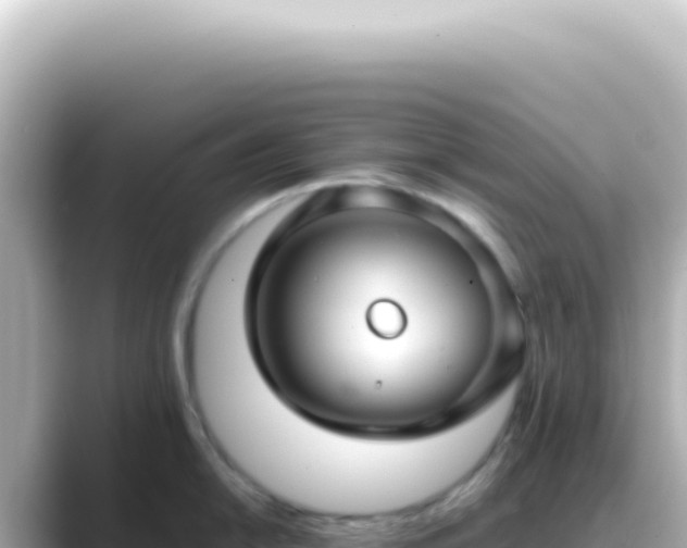 X0000089461054200706221302